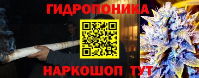 ПСИЛОЦИБИНОВЫЕ ГРИБЫ Мариинск