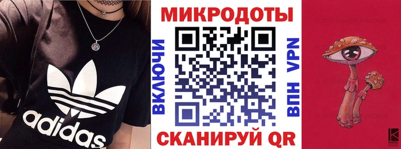 Псилоцибиновые грибы прущие грибы  закладка  Волхов 