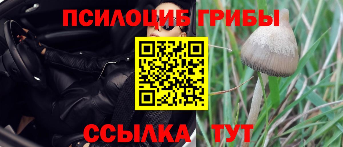 Псилоцибиновые грибы Psilocybine cubensis  Галлюциногенные грибы ЛСД  Вход с VPN  Волхов 
